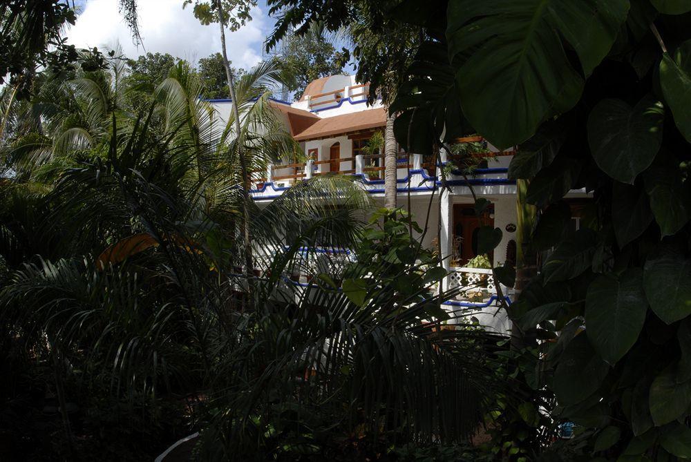 Eco-Hotel El Rey Del Caribe Cancun Exterior photo